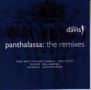 Panthalassa:the Remixes: Amazon.in: Music}
