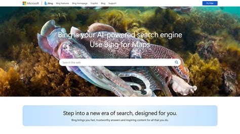Bing Sites 的图像结果