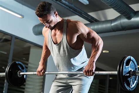 Image result for Musculation Dos