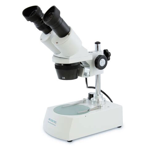 Dissecting Microscope Examples 的图像结果
