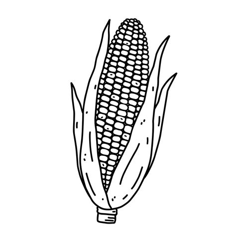 Cob Clipart Black And White