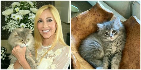 Cat Cloning Services