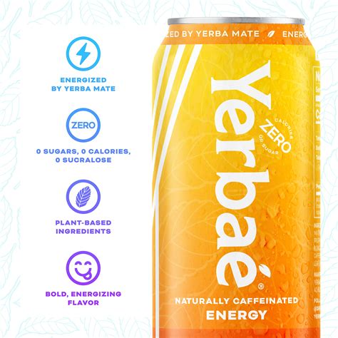 Snapklik.com : Yerbae Energy Beverage - Variety Flex Pack, 0 Sugar, 0 ...