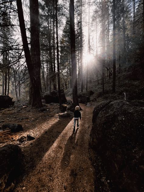 Hiking Trails in Redding, California: Top Trails | Visit Redding