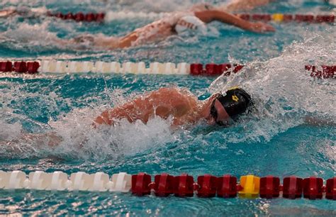 Swim and Dive Team 的图像结果