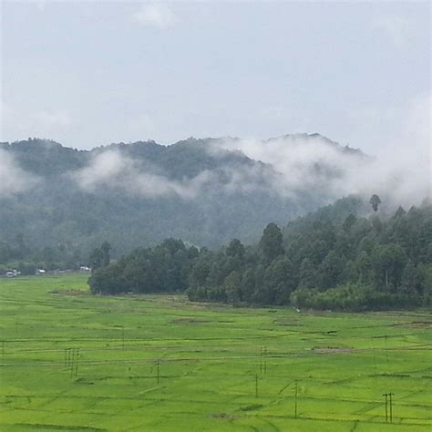 ZIRO VALLEY RESORT BY TODAY - Hotel Reviews & Photos - Tripadvisor