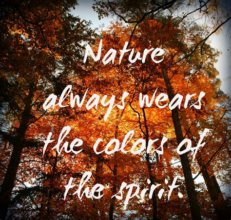 64 Songs About Nature and the Environment - HubPages