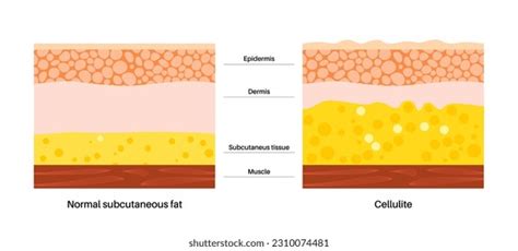 Image result for Example for String