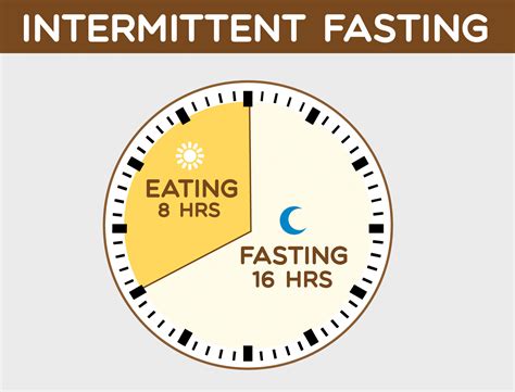 Finding Your Perfect Calorie Count for 16/8 Intermittent Fasting – Fitness Volt