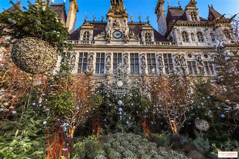 Le parvis de l’Hôtel de Ville de Paris se transforme en forêt urbaine ...
