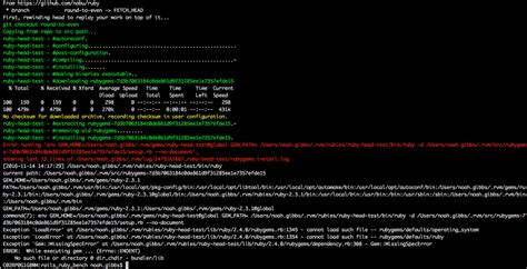 Image result for Ruby Errors