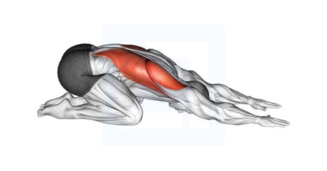 Image result for Back Stretch Tutorial