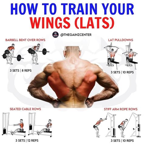 Lat Pulldown Variations