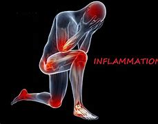 Image result for inflammation