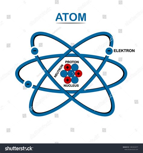 Structure Atom Nucleus Protons Neutrons Electrons Stock Vector (Royalty ...