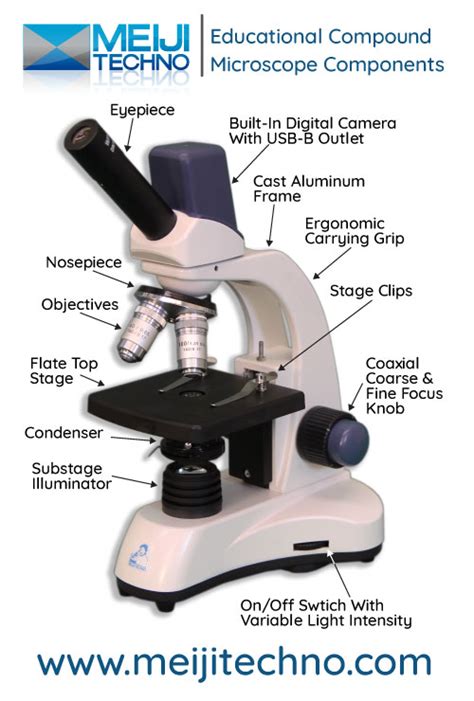 Microscope Terminology 的图像结果