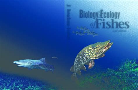 Biology & Ecology of Fishes, 2nd Edition eBook : Diana, James: Amazon ...