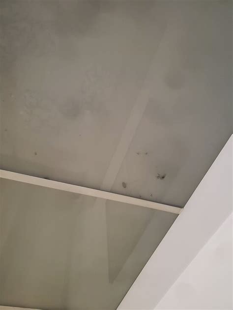 ULTRACENTRAL APARTMENTS (Bucharest) - Lodging Reviews, Photos, Rate ...