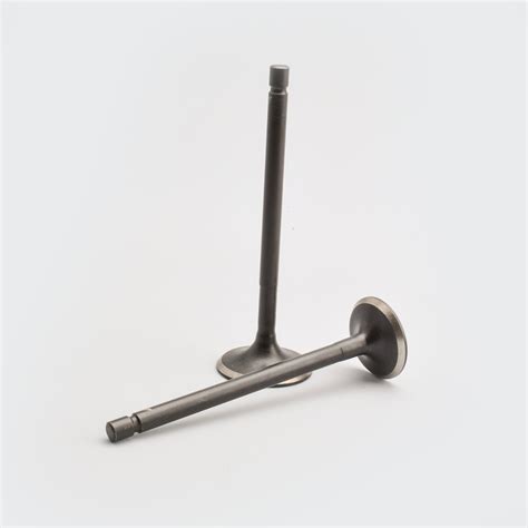 Valve Set Fiero/Fiero F2/Fiero Fx/Apache/Wego/Jupiter | For TVS | Buy ...