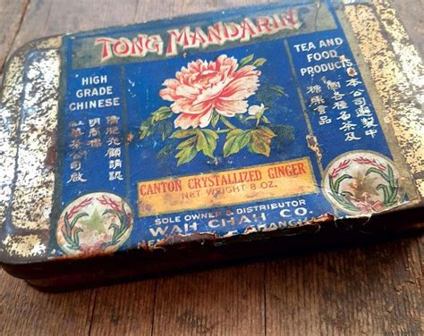 Image result for Moth Moth and Rust