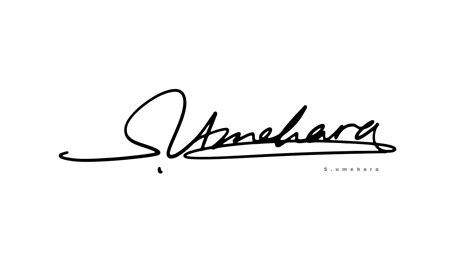 漂亮英文签名设计丨signature design丨signature logo|平面|字体/字形|字酷Zicool - 原创作品 - 站酷 ...