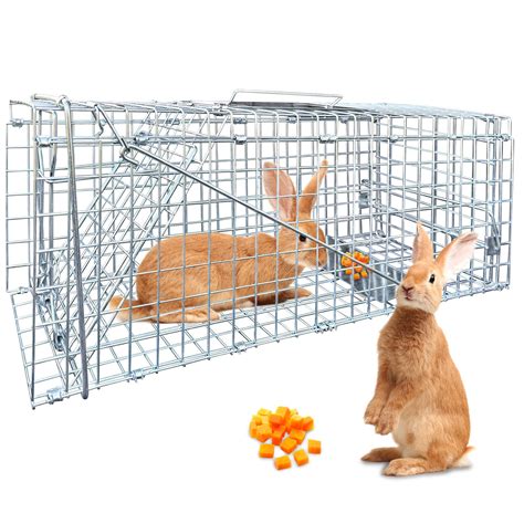 Live Animal Trap for Cats, Groundhogs, Opossums, Outdoor Small Animal ...