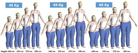 Simulation of 3D Body Shapes for Pregnant and Postpartum Women