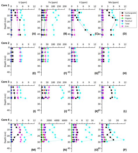 Syndepositional Uptake of Uranium, Molybdenum and Vanadium into Modern ...