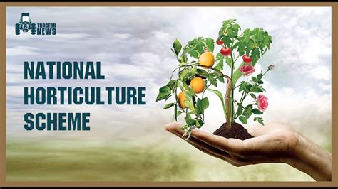 National Horticulture Mission - A Mission for Holistic Horticultural Growth
