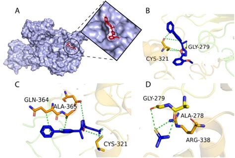 Image result for Urease Enzyme