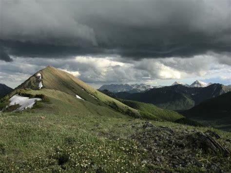 Freeheelin' Adventures (Canmore) - 2022 What to Know Before You Go ...