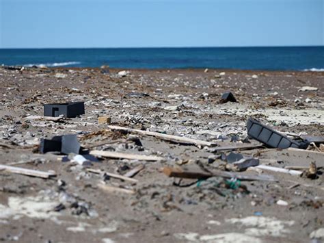 EU-India to jointly find solutions to marine pollution, waste to green ...