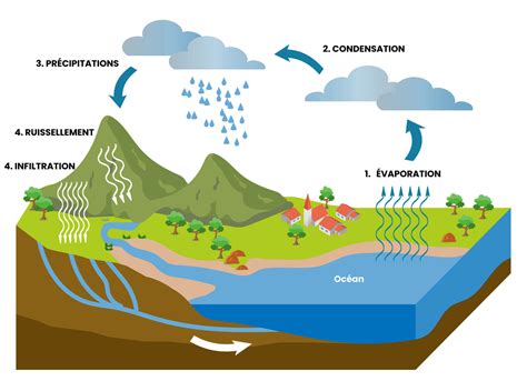 Cycle D'Eau