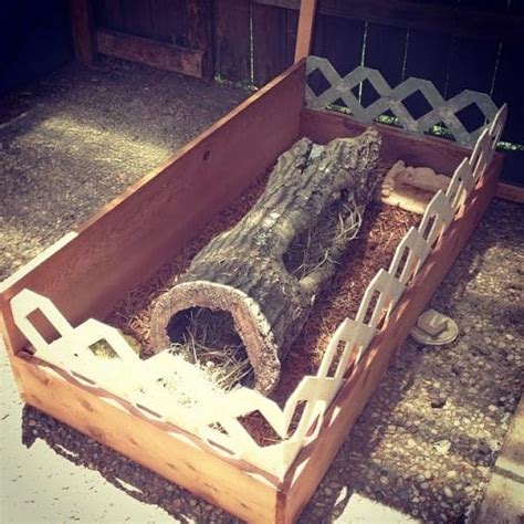 Image result for Box Turtle Homes