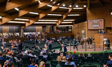 September Yearling Sale, Keeneland, Lexington, 8 September 2025 | AllEvents