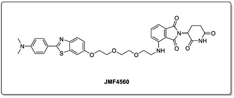 Central Nervous System Targeted Protein Degraders