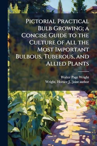 Buy Pictorial Practical Bulb Growing; a Concise Guide to the Culture of ...