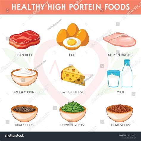 5 Nutrients Energy Growth Repair Images, Stock Photos, and Vectors | Shutterstock