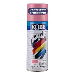 Oasis Kobe Acrylic Spray Paint – Fast Dry Multipurpose Spray For Metal ...
