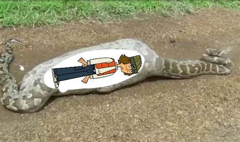 Shawn Python 的图像结果