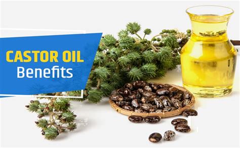 Buy Ksma Cold Pressed Castor Oil | for Hair Growth | Skin Care ...