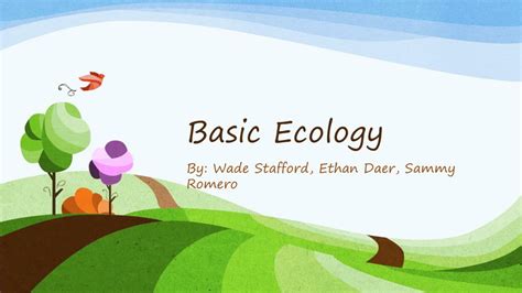 Ecology 的图像结果