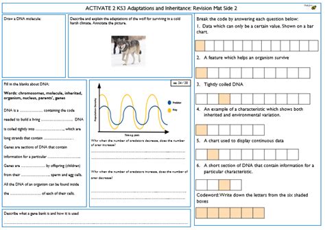 Adaptations KS3 的图像结果