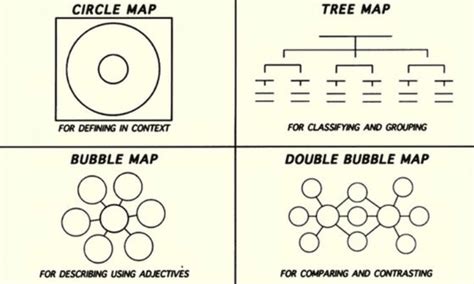 Brain Map Example 的图像结果