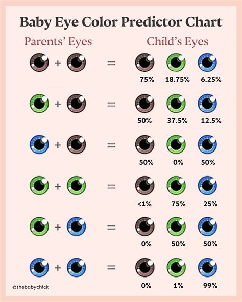 Punnett Square Eye Colour Calculator For Pas - Infoupdate.org
