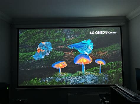 Projector Setup 的图像结果
