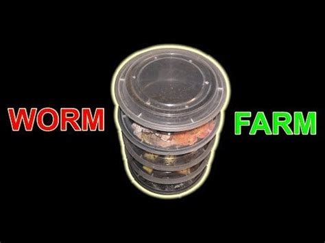Basement Worm Farm 的图像结果
