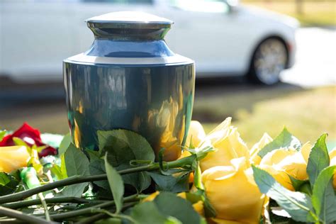 Your Guide to Flame Cremation vs. Water Cremation - DFS Memorials