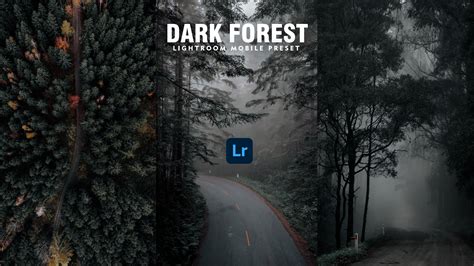 Dark Nature Photo Editing