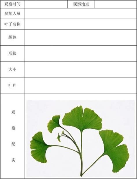 植物观察记录表【精品】 - 范文118